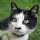 Chat 26